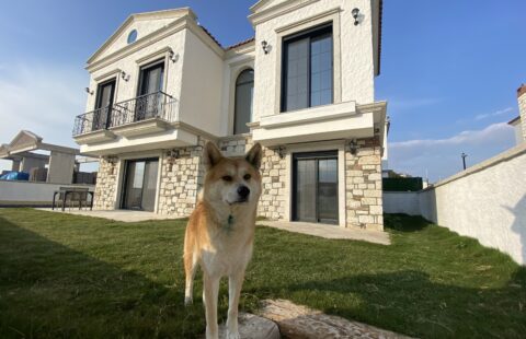 ÇEŞME ŞİFNEDE YENİ İNŞA EDİLMİŞ MÜSTAKİL HAVUZLU 5+1 TAŞ EV